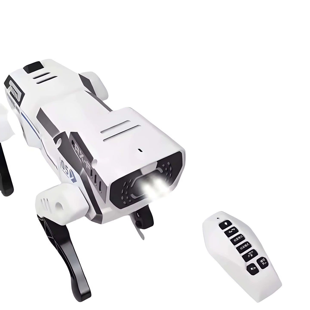 Bright Eyes, Bold Moves—Guard Your Home with Tech-Savvy Spirit