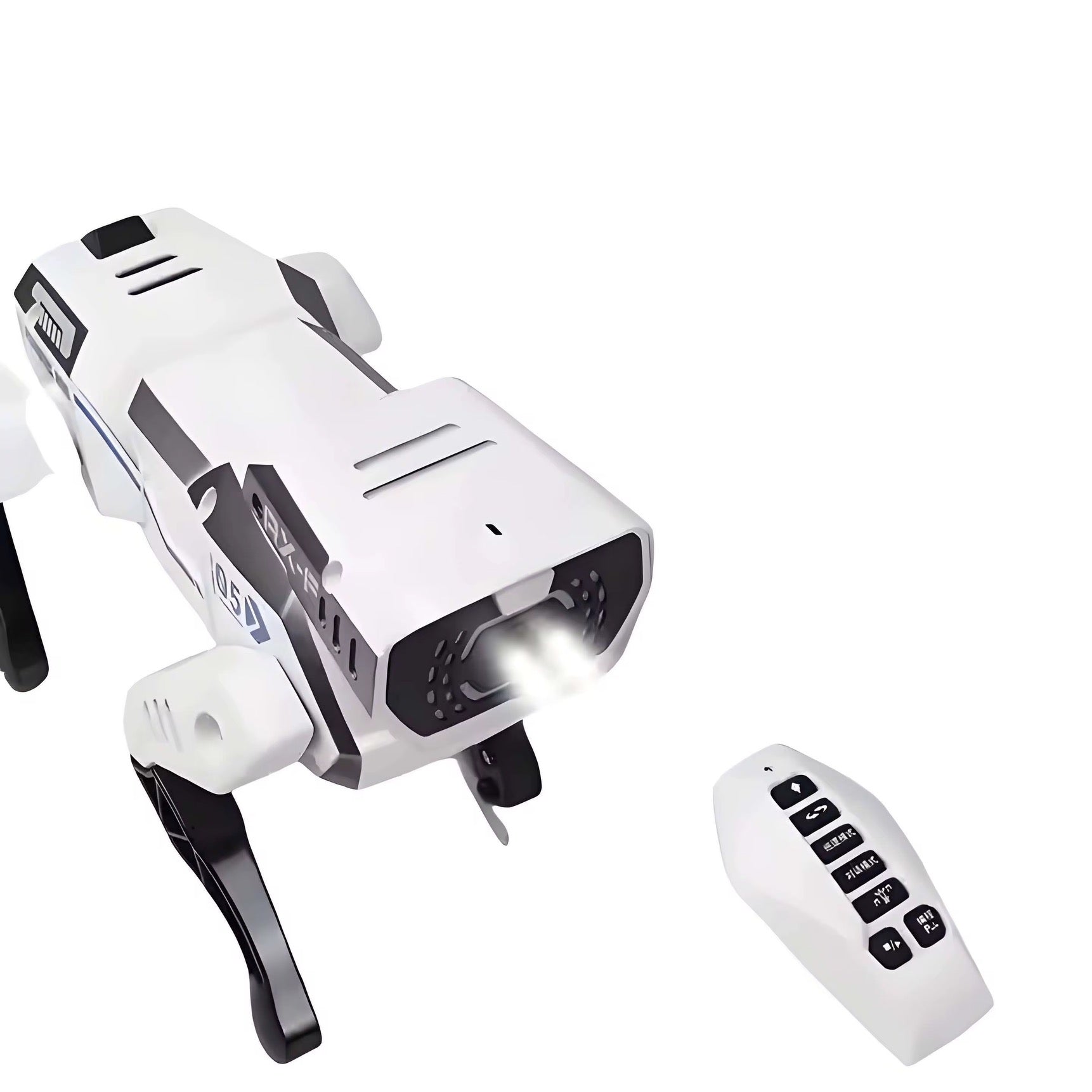 Bright Eyes, Bold Moves—Guard Your Home with Tech-Savvy Spirit