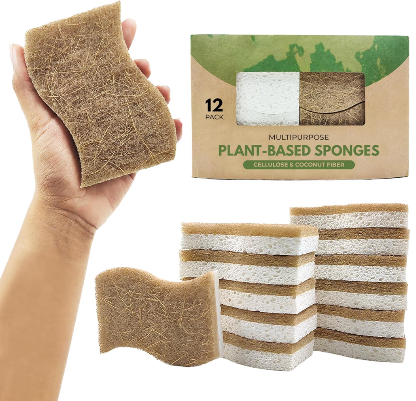 Biodegradable Eco-Friendly Kitchen Sponge Natural Compostable Cellulose Coconut Walnut Scrubber for Household Cleaning Dish High