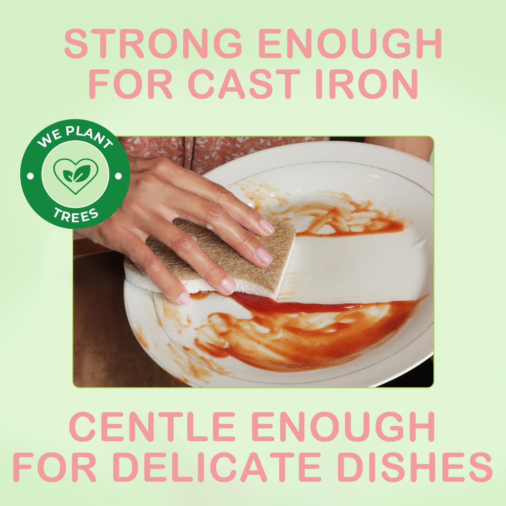 Biodegradable Eco-Friendly Kitchen Sponge Natural Compostable Cellulose Coconut Walnut Scrubber for Household Cleaning Dish High