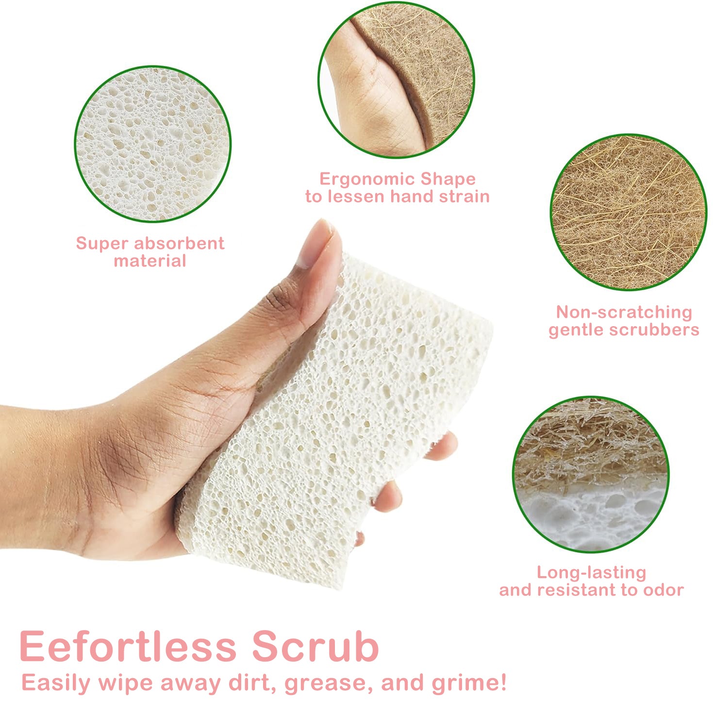 Biodegradable Eco-Friendly Kitchen Sponge Natural Compostable Cellulose Coconut Walnut Scrubber for Household Cleaning Dish High