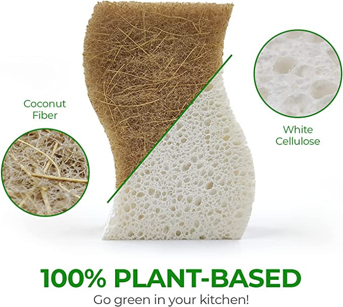Biodegradable Eco-Friendly Kitchen Sponge Natural Compostable Cellulose Coconut Walnut Scrubber for Household Cleaning Dish High