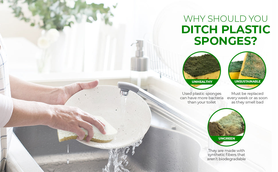 Biodegradable Eco-Friendly Kitchen Sponge Natural Compostable Cellulose Coconut Walnut Scrubber for Household Cleaning Dish High