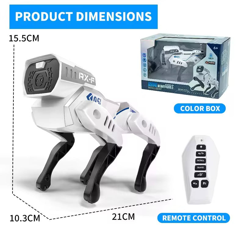 Bright Eyes, Bold Moves—Guard Your Home with Tech-Savvy Spirit