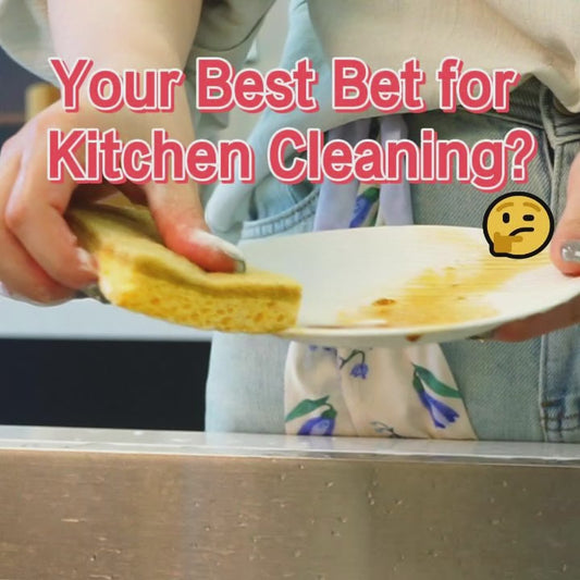 Biodegradable Eco-Friendly Kitchen Sponge Natural Compostable Cellulose Coconut Walnut Scrubber for Household Cleaning Dish High