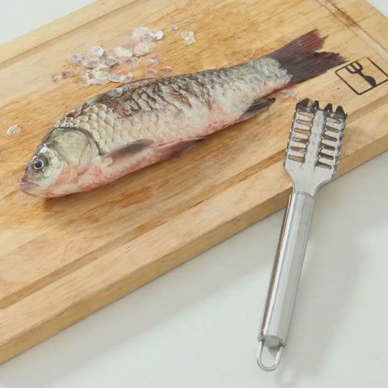 Fish Scaler, Stainless Steel Fish Scaler Remover with Serrated Sawtooth No Mess Easily Remove Fish Scales, Fish Skin Scraper for Kitchen Fish Cleaning Kit for All Fish