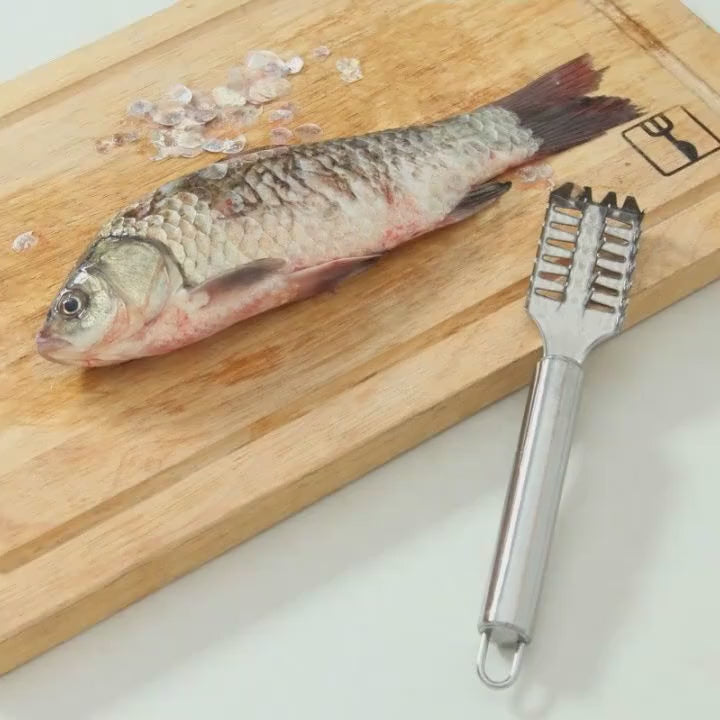 Fish Scaler, Stainless Steel Fish Scaler Remover with Serrated Sawtooth No Mess Easily Remove Fish Scales, Fish Skin Scraper for Kitchen Fish Cleaning Kit for All Fish