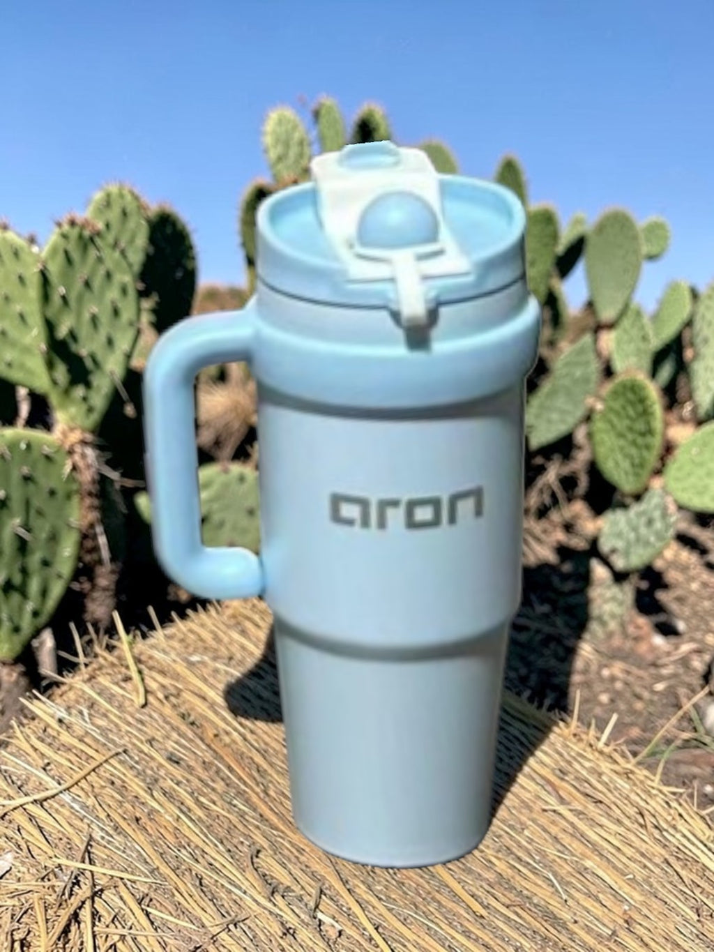 The Aron Everyday 900ml Large Capacity "Mood Cup" - Double Wall 316 Stainless Steel Travel Mug with Portable Handle & PP Lid