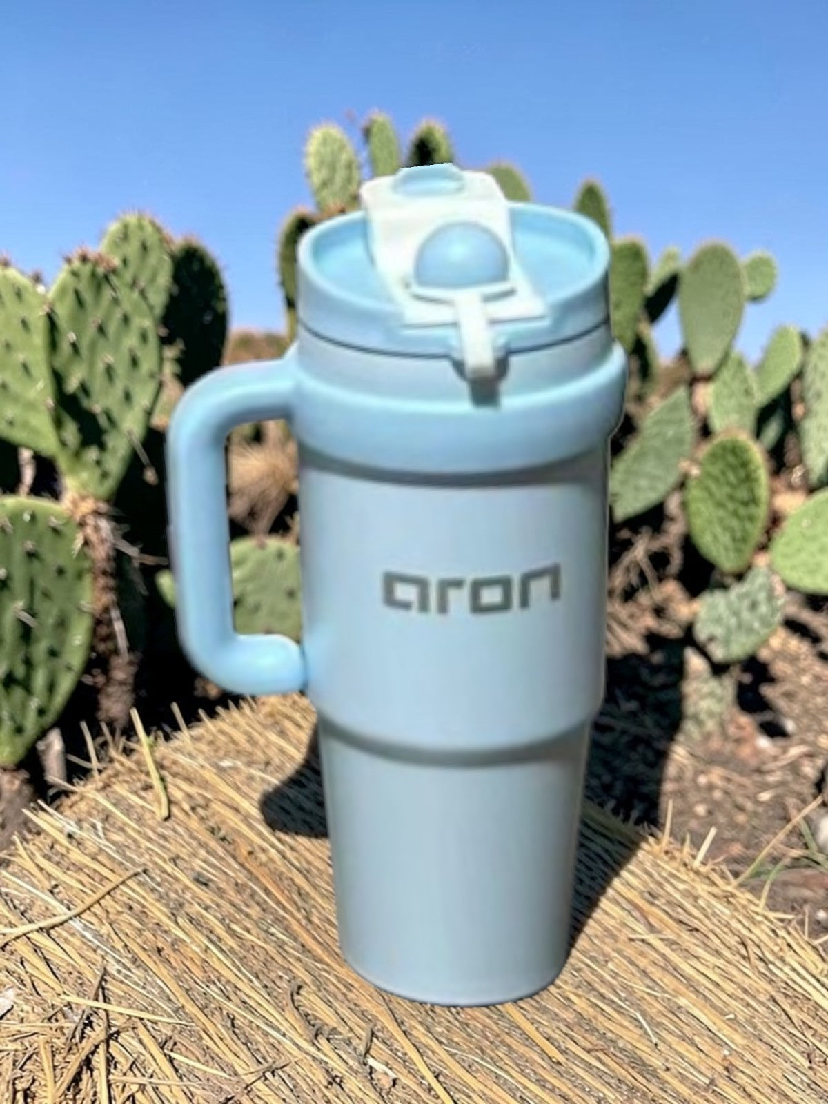 The Aron Everyday 900ml Large Capacity "Mood Cup" - Double Wall 316 Stainless Steel Travel Mug with Portable Handle & PP Lid